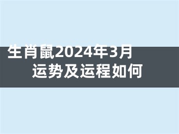 生肖鼠2024年3月运势及运程如何