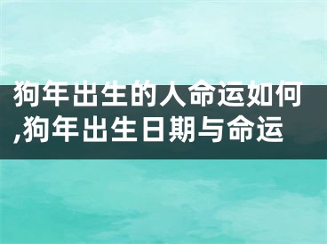 狗年出生的人命运如何,狗年出生日期与命运