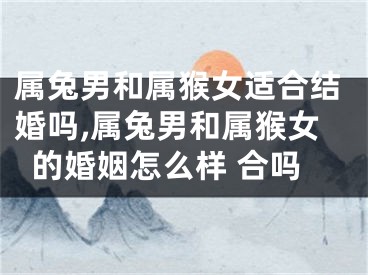 属兔男和属猴女适合结婚吗,属兔男和属猴女的婚姻怎么样 合吗