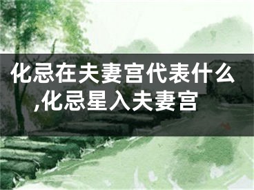 化忌在夫妻宫代表什么,化忌星入夫妻宫