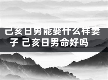 己亥日男能娶什么样妻子 己亥日男命好吗