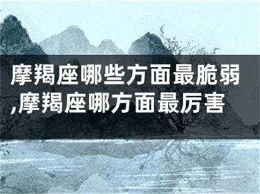 摩羯座哪些方面最脆弱,摩羯座哪方面最厉害