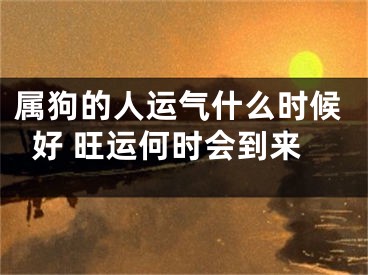 属狗的人运气什么时候好 旺运何时会到来
