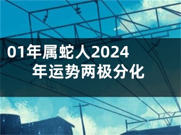 01年属蛇人2024年运势两极分化