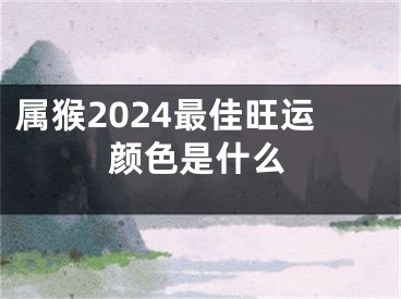 属猴2024最佳旺运颜色是什么