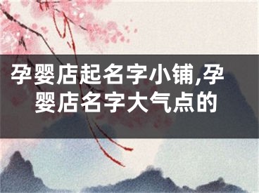 孕婴店起名字小铺,孕婴店名字大气点的