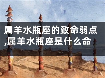 属羊水瓶座的致命弱点,属羊水瓶座是什么命