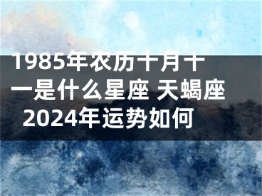 1985年农历十月十一是什么星座 天蝎座2024年运势如何