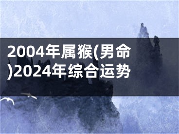 2004年属猴(男命)2024年综合运势