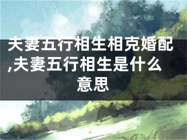 夫妻五行相生相克婚配,夫妻五行相生是什么意思