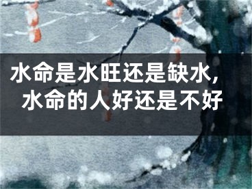水命是水旺还是缺水,水命的人好还是不好