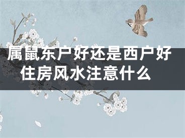 属鼠东户好还是西户好 住房风水注意什么