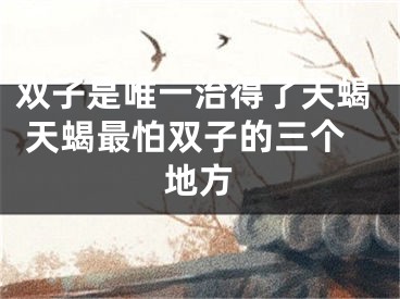双子是唯一治得了天蝎 天蝎最怕双子的三个地方