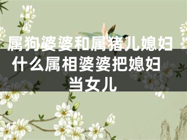 属狗婆婆和属猪儿媳妇 什么属相婆婆把媳妇当女儿