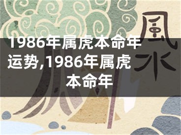 1986年属虎本命年运势,1986年属虎本命年