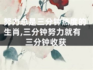 努力总是三分钟热度的生肖,三分钟努力就有三分钟收获