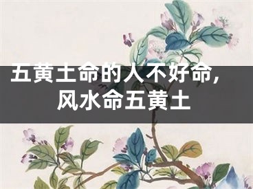 五黄土命的人不好命,风水命五黄土