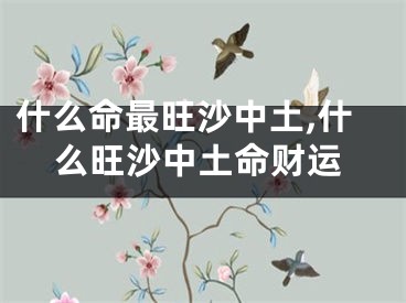 什么命最旺沙中土,什么旺沙中土命财运