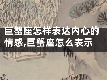 巨蟹座怎样表达内心的情感,巨蟹座怎么表示