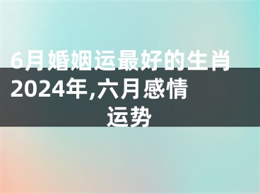 6月婚姻运最好的生肖2024年,六月感情运势