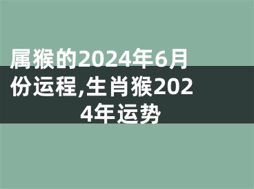 属猴的2024年6月份运程,生肖猴2024年运势