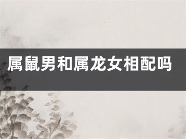 属鼠男和属龙女相配吗