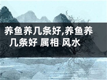 养鱼养几条好,养鱼养几条好 属相 风水