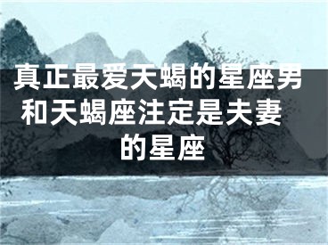 真正最爱天蝎的星座男 和天蝎座注定是夫妻的星座