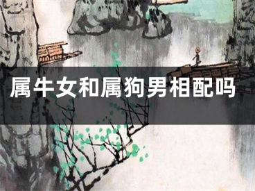 属牛女和属狗男相配吗