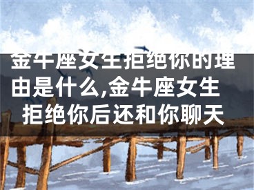 金牛座女生拒绝你的理由是什么,金牛座女生拒绝你后还和你聊天