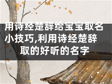用诗经楚辞给宝宝取名小技巧,利用诗经楚辞取的好听的名字