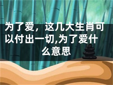 为了爱，这几大生肖可以付出一切,为了爱什么意思