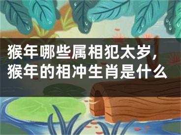猴年哪些属相犯太岁,猴年的相冲生肖是什么
