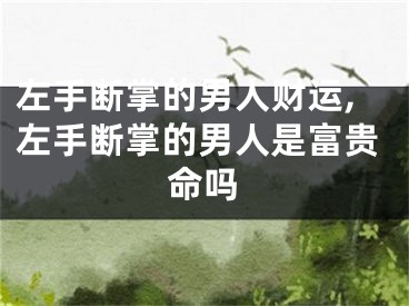 左手断掌的男人财运,左手断掌的男人是富贵命吗