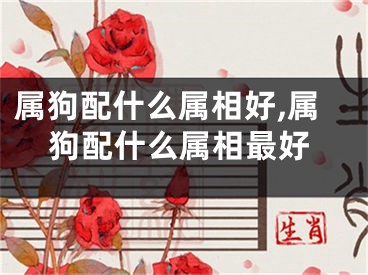 属狗配什么属相好,属狗配什么属相最好