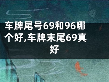 车牌尾号69和96哪个好,车牌末尾69真好