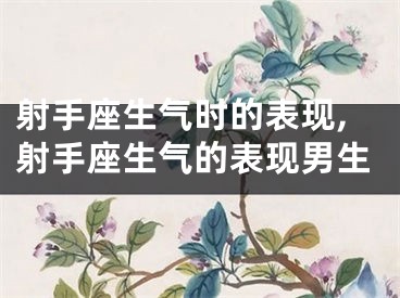 射手座生气时的表现,射手座生气的表现男生