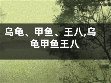 乌龟、甲鱼、王八,乌龟甲鱼王八