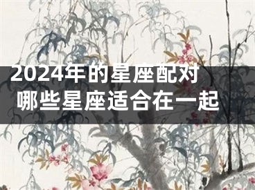 2024年的星座配对 哪些星座适合在一起