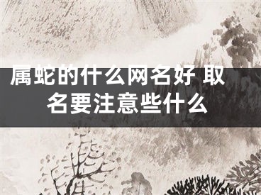 属蛇的什么网名好 取名要注意些什么