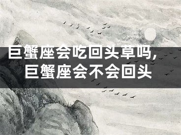 巨蟹座会吃回头草吗,巨蟹座会不会回头