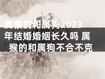 属猴的和属狗2023年结婚婚姻长久吗 属猴的和属狗不合不克