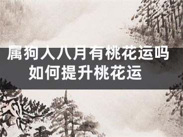 属狗人八月有桃花运吗 如何提升桃花运