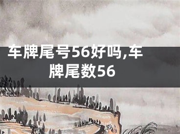车牌尾号56好吗,车牌尾数56