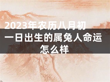 2023年农历八月初一日出生的属兔人命运怎么样