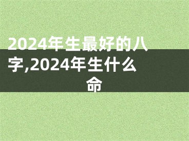 2024年生最好的八字,2024年生什么命