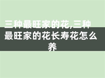 三种最旺家的花,三种最旺家的花长寿花怎么养