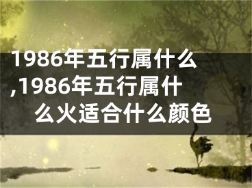 1986年五行属什么,1986年五行属什么火适合什么颜色