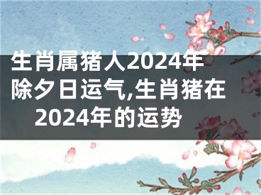 生肖属猪人2024年除夕日运气,生肖猪在2024年的运势