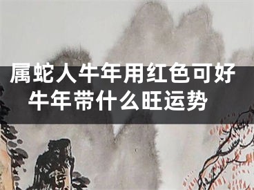 属蛇人牛年用红色可好 牛年带什么旺运势